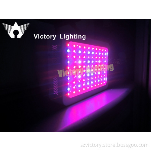 Country Style LED300W Indoor Growing LED Grow Light